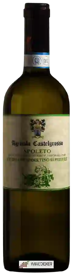 Winery Castelgrosso - Spoleto Trebbiano Spoletino Superiore
