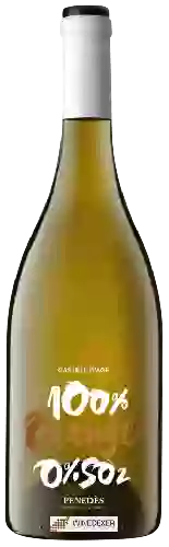 Winery Castell d'Age - 100% Orange 0%SO2