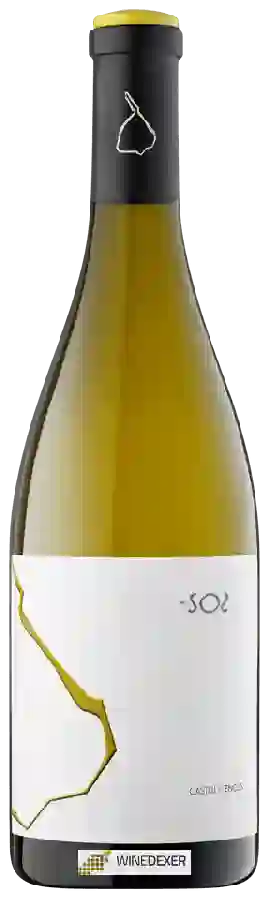 Winery Castell d'Encus - -SO2