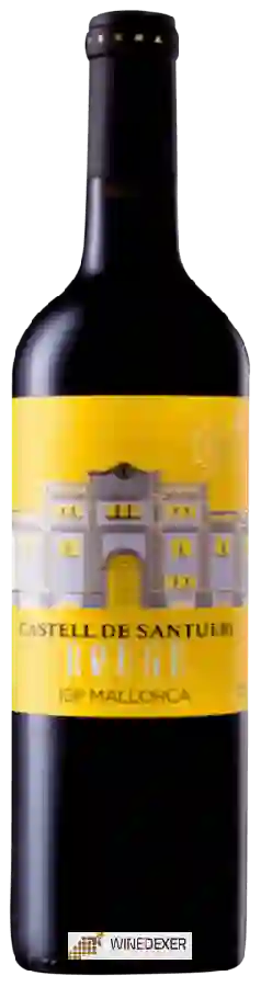 Winery Castell de Santueri - Tinto