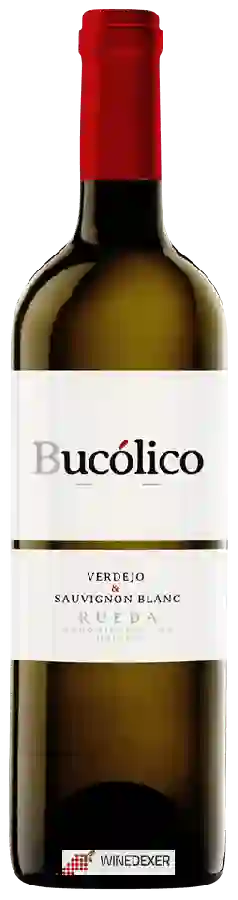 Winery Cuatro Rayas - Bucólico Verdejo - Sauvignon Blanc Winery Cuatro Rayas - Bucólico Verdejo - Sauvignon Blanc
