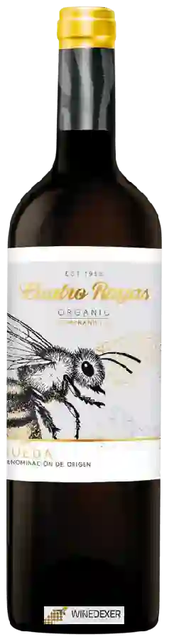 Winery Cuatro Rayas - Organic Tempranillo