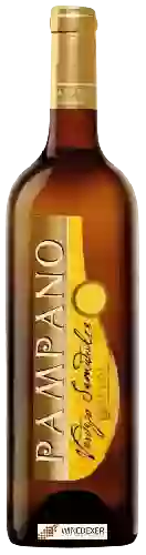 Winery Cuatro Rayas - Pampano Verdejo Semidulce