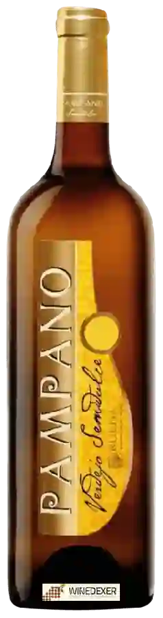 Winery Cuatro Rayas - Pampano Verdejo Semidulce Winery Cuatro Rayas - Pampano Verdejo Semidulce