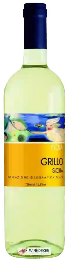 Winery Castellani - Isola Grillo