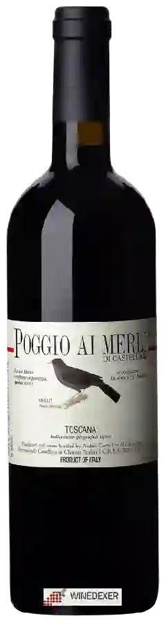Winery Castellare - Toscana Poggio Ai Merli