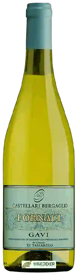 Winery Castellari Bergaglio - Fornaci Gavi di Tassarolo Winery Castellari Bergaglio - Fornaci Gavi di Tassarolo