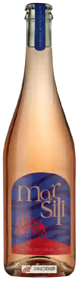 Winery Tenuta di Castellaro - Mar Sili