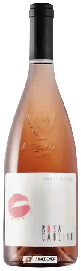 Winery Tenuta di Castellaro - Rosa Caolino Winery Tenuta di Castellaro - Rosa Caolino