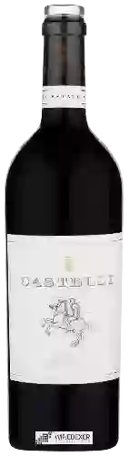 Winery Castelli - Il Liris Rouge
