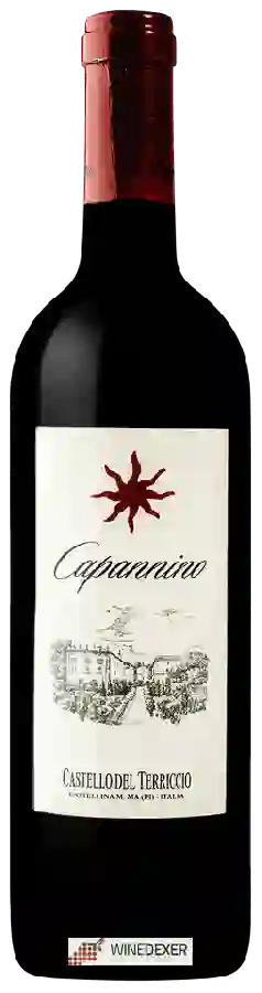 Winery Castello del Terriccio - Capannino Winery Castello del Terriccio - Capannino