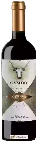Winery Castello di Meleto - Camboi