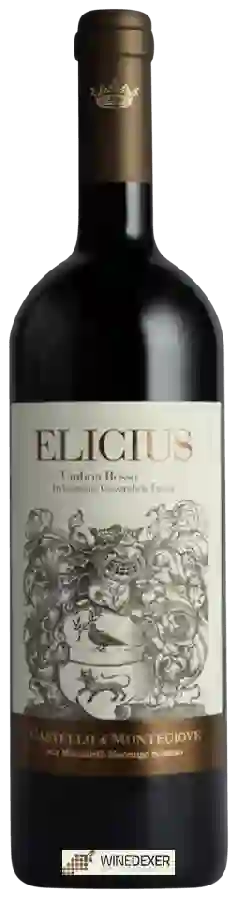 Winery Castello di Montegiove - Elicius