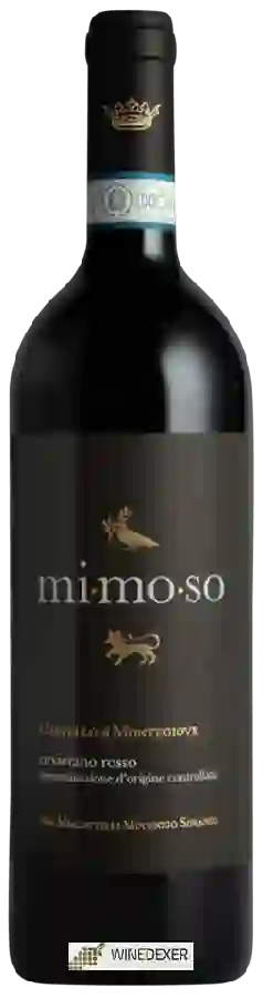 Winery Castello di Montegiove - mi.mo.so Winery Castello di Montegiove - mi.mo.so