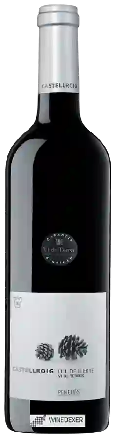Winery Castellroig - Ull de Llebre