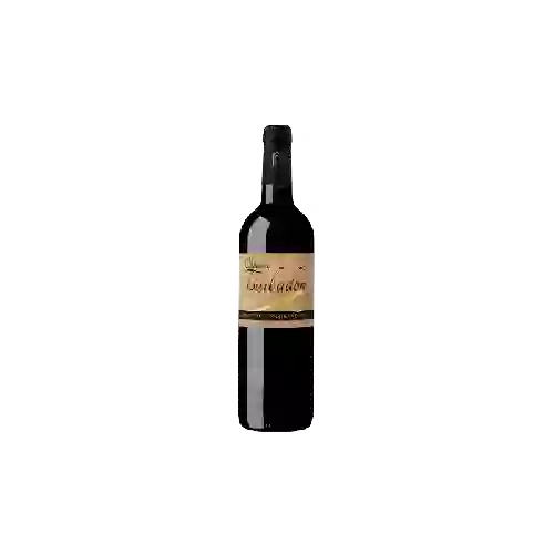 Winery Castelmaure - Interdit aux Snobs Corbières