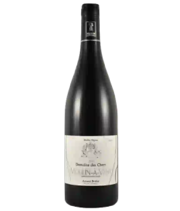 Winery Castelmaure - Millesime du Siecle L'esprit du Vent Winery Castelmaure - Millesime du Siecle L'esprit du Vent