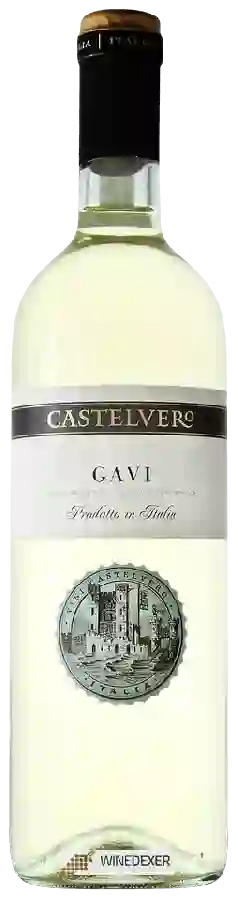 Winery Castelvero - Gavi