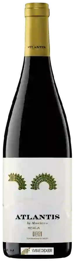 Winery Castillo de Maetierra - Atlantis Mencia Winery Castillo de Maetierra - Atlantis Mencia