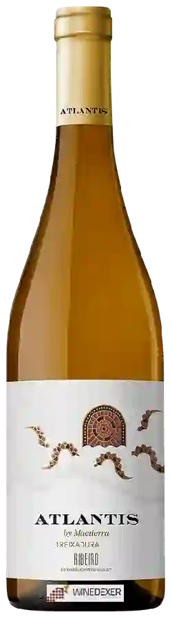 Winery Castillo de Maetierra - Atlantis Treixadura Winery Castillo de Maetierra - Atlantis Treixadura