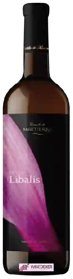 Winery Castillo de Maetierra - Grand Libalis Winery Castillo de Maetierra - Grand Libalis