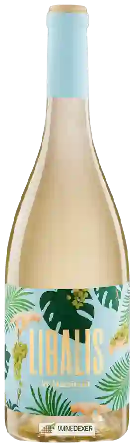 Winery Castillo de Maetierra - Libalis Blanco Winery Castillo de Maetierra - Libalis Blanco