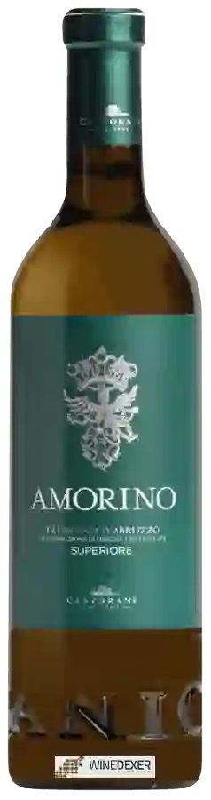 Winery Castorani - Amorino Trebbiano d'Abruzzo Superiore Winery Castorani - Amorino Trebbiano d'Abruzzo Superiore