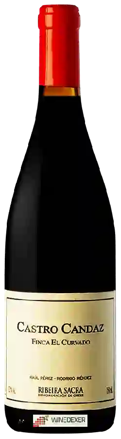 Winery Castro Candaz - Finca el Curvado
