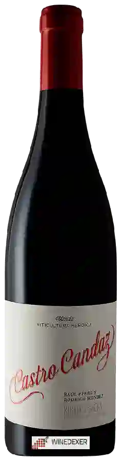 Winery Castro Candaz - Mencia Winery Castro Candaz - Mencia