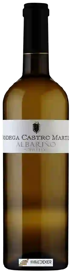 Winery Castro Martin - Sobre Lias Albari&ntildeo