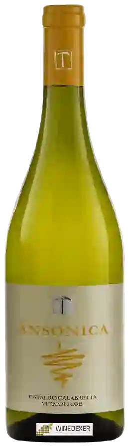 Winery Cataldo Calabretta - Ansonica Bianco