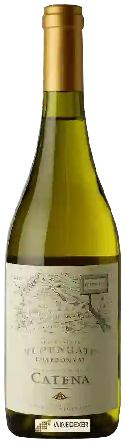Winery Catena - Appellation Tupungato Chardonnay