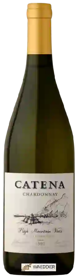 Winery Catena - Chardonnay Winery Catena - Chardonnay