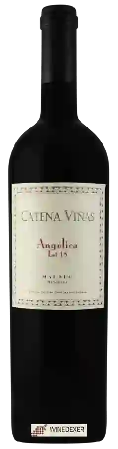 Winery Catena Viñas - Angelical Lot 18 Malbec Winery Catena Viñas - Angelical Lot 18 Malbec