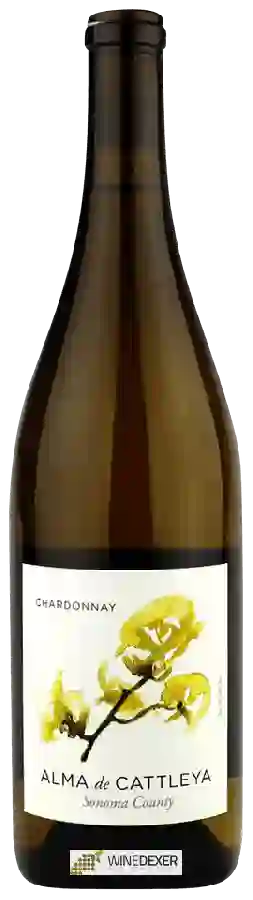 Winery Cattleya - Alma de Cattleya Chardonnay