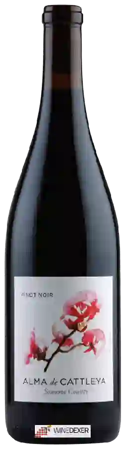 Winery Cattleya - Alma de Cattleya Pinot Noir