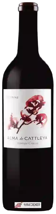 Winery Cattleya - Alma de Cattleya Red