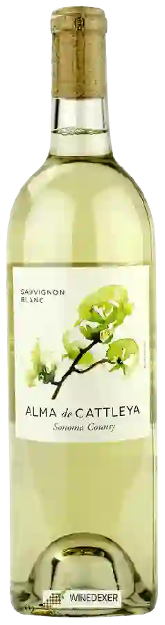 Winery Cattleya - Alma de Cattleya Sauvignon Blanc