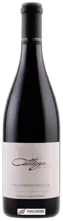 Winery Cattleya - Pinot Noir (Donum Vineyard)