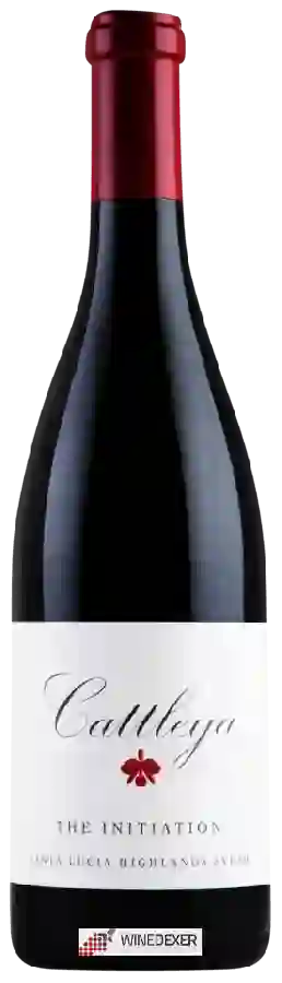 Winery Cattleya - The Initiation