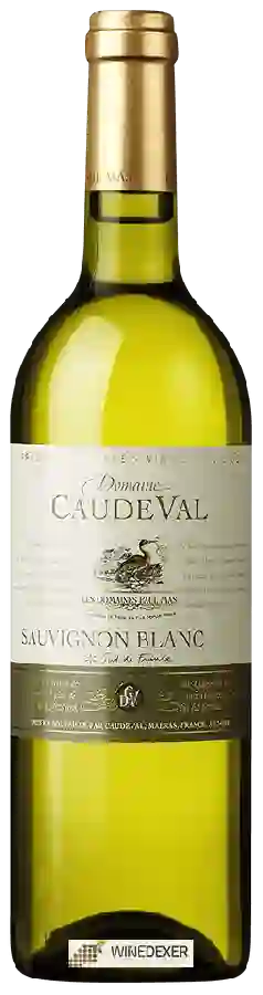 Winery Caude Val - Sauvignon Blanc