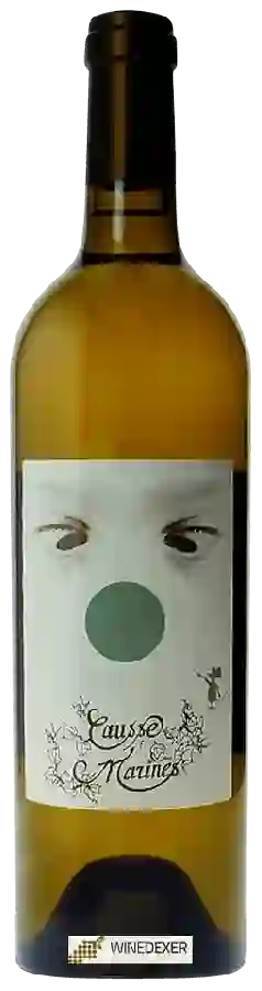 Winery Causse Marines - Les Greilles