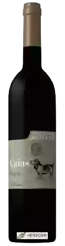 Winery Causse Noir - Caïus
