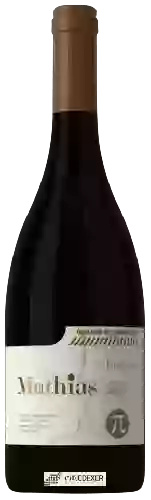 Winery Causse Noir - Mathias