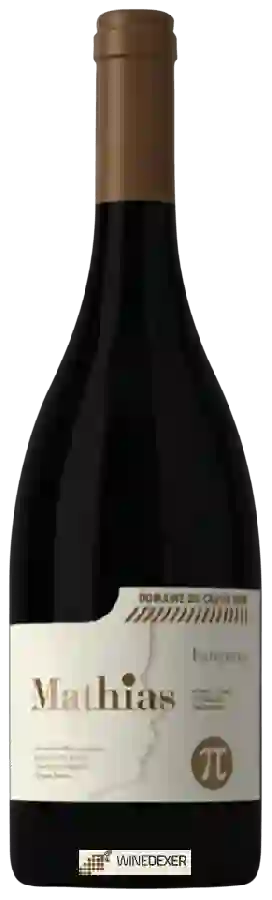 Winery Causse Noir - Mathias