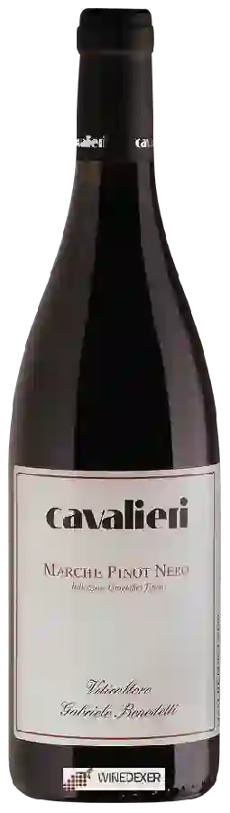 Winery Cavalieri - Marche Pinot Nero