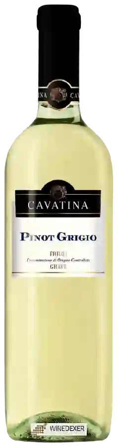 Winery Cavatina - Pinot Grigio