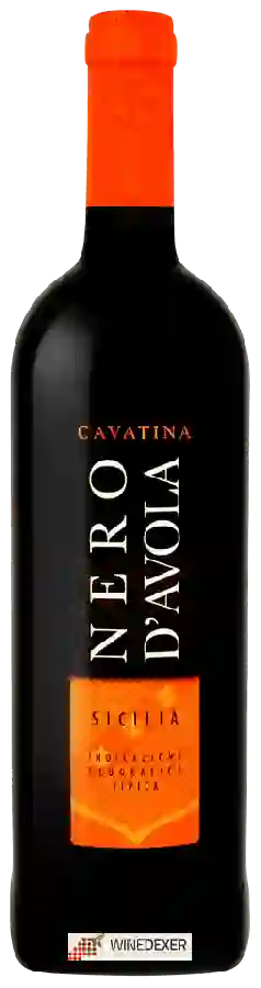 Winery Cavatina - Nero d'Avola Winery Cavatina - Nero d'Avola