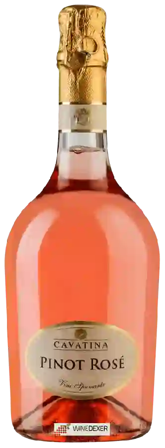 Winery Cavatina - Pinot Rosé Spumante