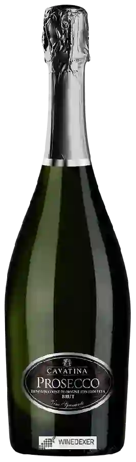 Winery Cavatina - Prosecco Brut Winery Cavatina - Prosecco Brut
